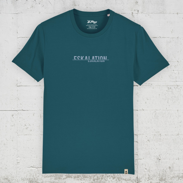 Eskalation | Bio T-Shirt Men front - stargazer
