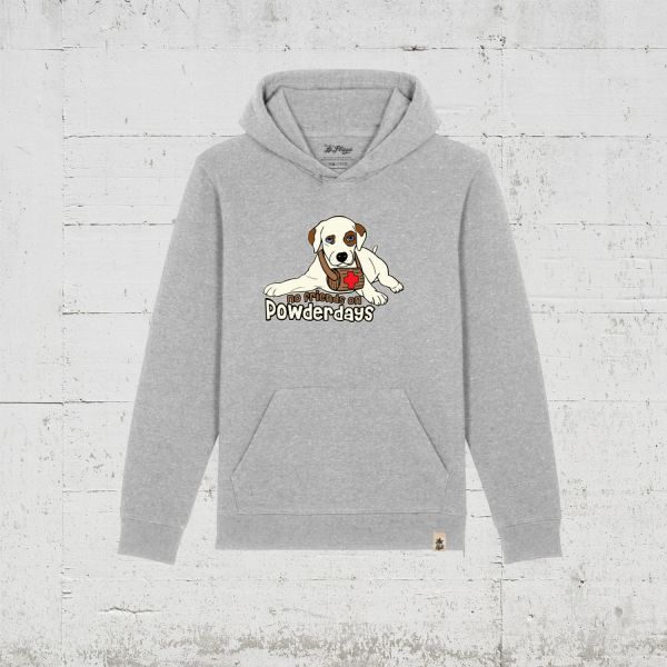 No Friends On Powderdays | Bio Hoodie Kids