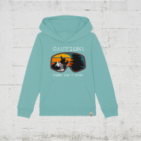 teal monstera
