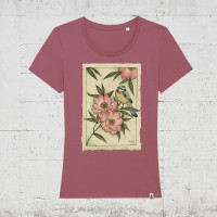 hibiscus rose