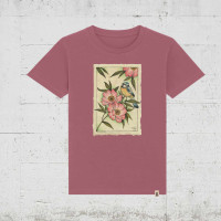 hibiscus rose