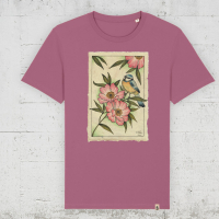 mauve